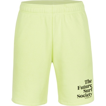 O'Neill Future surf short xl