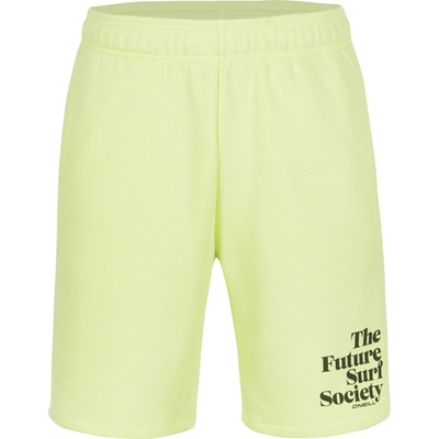 O'Neill Future surf short xl