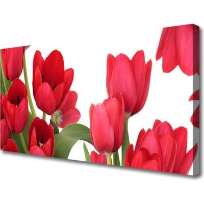 Obraz Canvas Tulipány kvety rastlina 100x50 cm