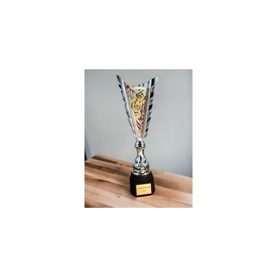 Poháry Bauer Sportovní pohár SL41 Hudba