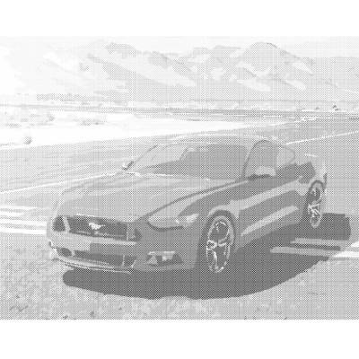 ZUTY Bodkovanie - MUSTANG Rámovanie: bez rámu a bez vypnutia plátna, Rozmer: 40x50 cm