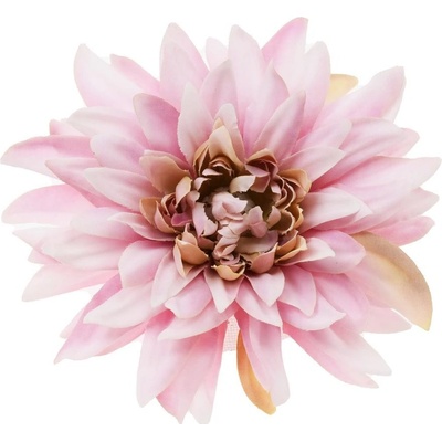HLAVA DAHLIA 10CM BAL.12KS FIALKOVÁ