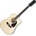 Epiphone DR212