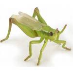 Papo Grasshopper