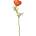 Bizzotto ИЗКУСТВЕНО ЦВЕТЕ anemone 30cm ОРАНЖЕВО (0171756)