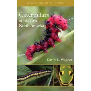 Caterpillars of Eastern North America | David L. Wagner (ISBN: 9780691121444)