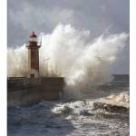 DIMEX ART Флизелинов фототапет фар 225 x 250 см