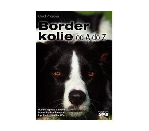 Border kolie