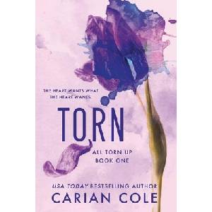 Torn (ISBN: 9781538765982)