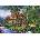 Art Puzzle - Puzzle The Coast of Peace - 1 000 piese