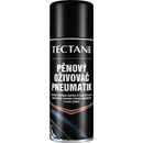 Starostlivosť o plasty a pneumatiky Den Braven Penový oživovač pneumatík 400 ml