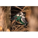 Bosch EasyChain 18V-15-7 0.600.8B8.900