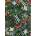 Gibsons - Puzzle Winged Wonders - 1 000 piese
