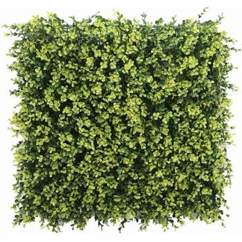 Buxus long VG yellow, dielec 50 x 50 cm