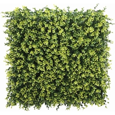 Buxus long VG yellow, dielec 50 x 50 cm