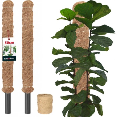 Kokosový kolík 50 cm x 25 mm sada 2 ks.