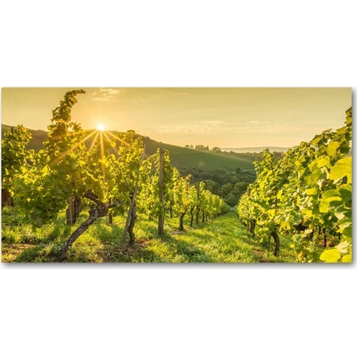 Foto obraz sklenený horizontálny tropická pláž 100x50 cm