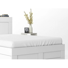 DETEXPOL Plachta Mikrosatén biela Polyester 90x200