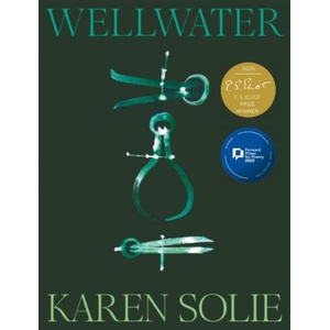 Wellwater (ISBN: 9781035048182)