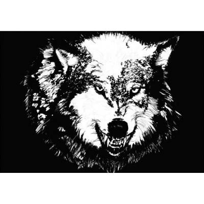 Plakát typ A4-A0 Wolf