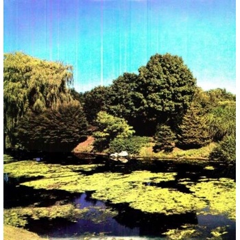 Shellac - Terraform