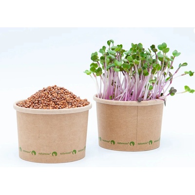 Tiny Greens Ředkvička China Rose BIO semínka na klíčení a microgreens 50 g