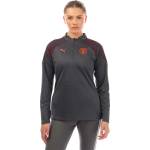 PUMA Manchester City 2023/24 Training Top - Grey