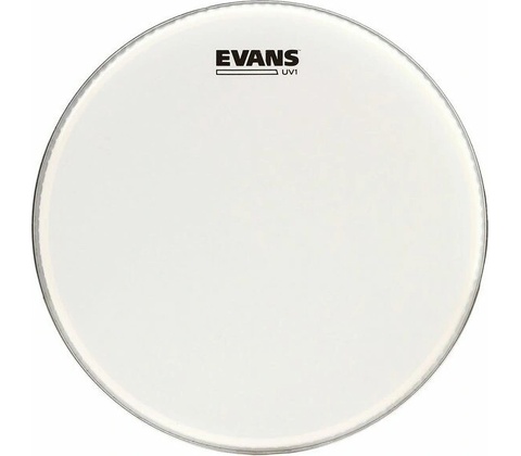 Evans BD22UV1