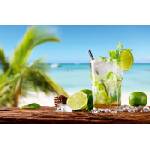 DIMEX ART Флизелинов фототапет мохито на плажа 375 x 250 см