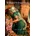William Holman Hunt