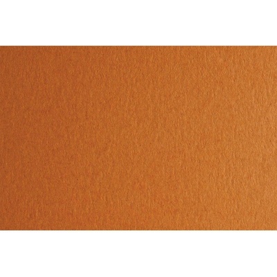 Fabriano Картон Colore, 70 x 100 cm, 140 g/m2, № 223, светло (1530100058)