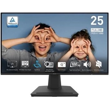 MSI Pro MP252
