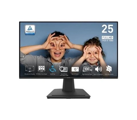 MSI Pro MP252