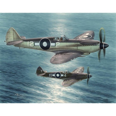Special Hobby Seafire Mk.XV Far East Service 1:48