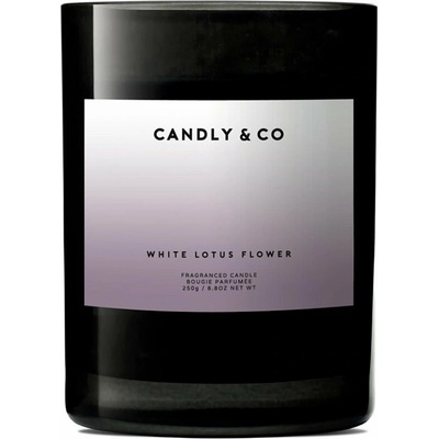 Lumarko CANDLY&CO vůně č. 8 250 g