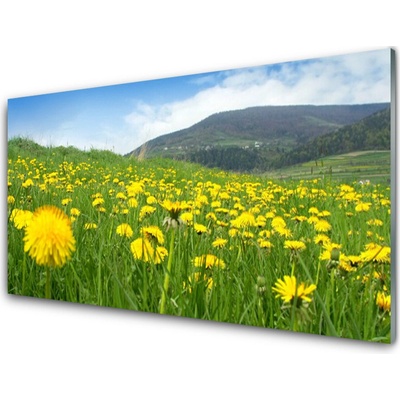 Obraz na skle Pampeliška Příroda 100x50 cm