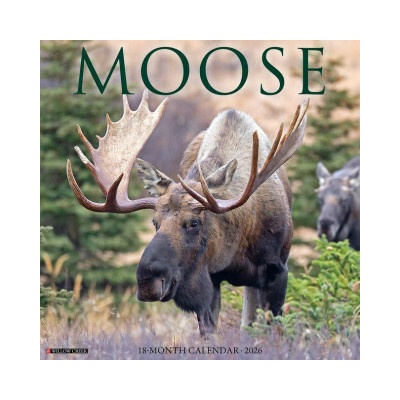 Moose 12 X 12 Wall 2026