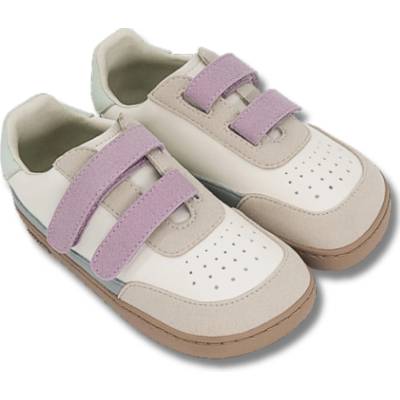Muris Petra MINI Malva