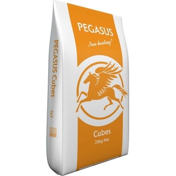 Pegasus cubes 20 kg