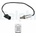 DELPHI ES21079-12B1