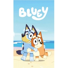 AYmax Detská polar fleece deka Bluey a Bingo