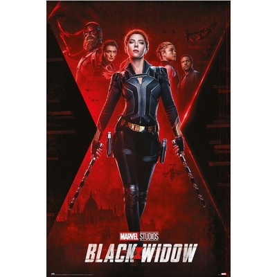 Plagát, Obraz - Black Widow - Nedokončené Záležitosti, 61 × 91.5 cm