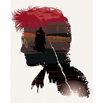 Zuty Harry potter a lord voldemort 40 x 50 cm vypnuté plátno na rám 8596530132097