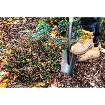 VERTO 15G014 na výsadbu, 128 cm