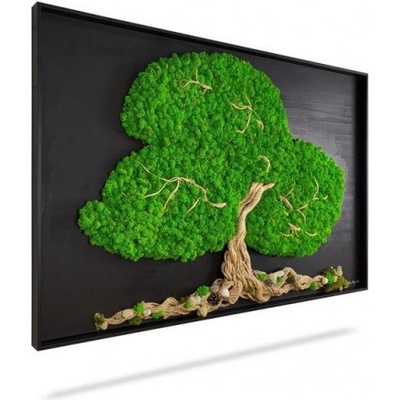 Machový obraz STROM ARLES, 120x60cm, drevený čierny rám