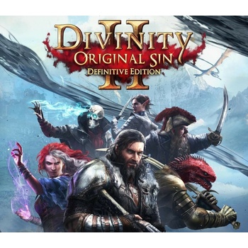 Divinity Original Sin 2 (Definitive Edition)