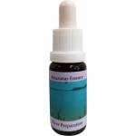 PHI Essences Стимулира умствената сила - Есенция Река Амазонка № 2, капки 15 ml (2 AMAZON)