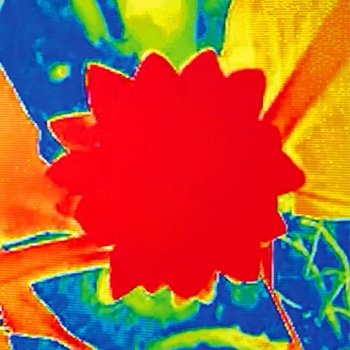 Turzi & Gage - Drop! (LP) (291aeff8-a0f1-4235-9220-503e84392afd)