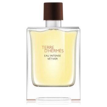 Hermès Terre D'Hermès Eau Intense Vetiver parfémovaná voda pánská 100 ml