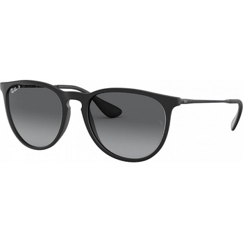 Ray-Ban RB4171 Erika 622 T3